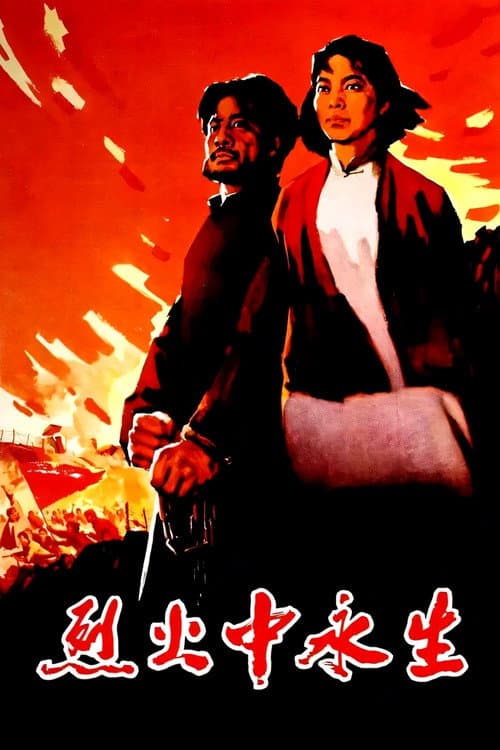 Постер: 烈火中永生