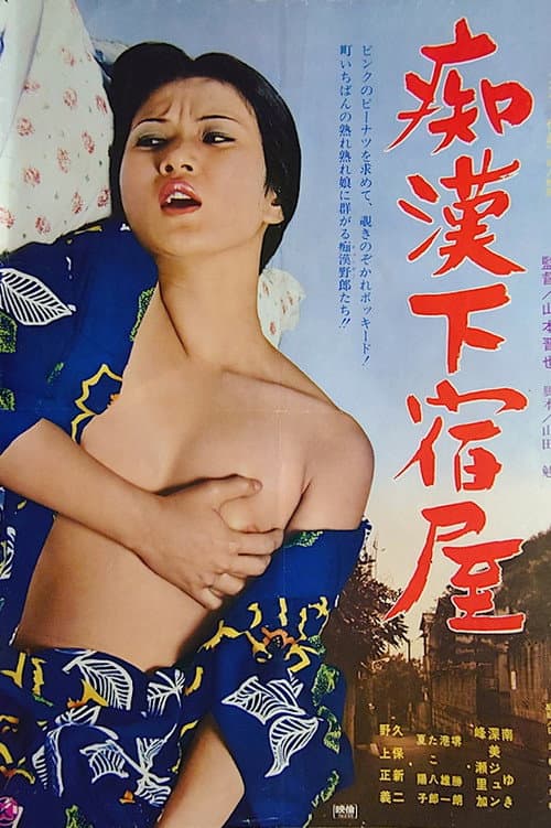 Постер: 痴漢下宿屋
