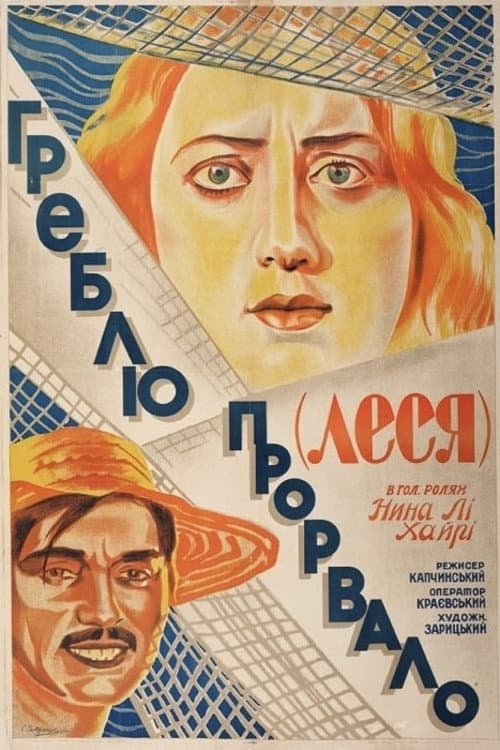 Постер: Дамбу прорвало