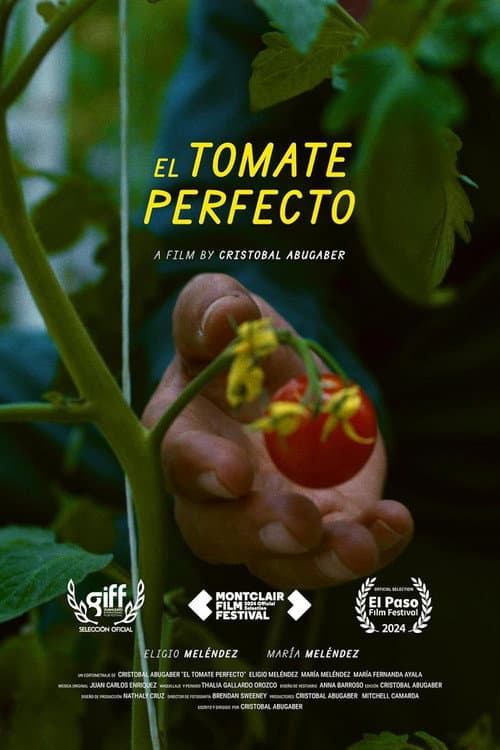 Постер: El Tomate Perfecto