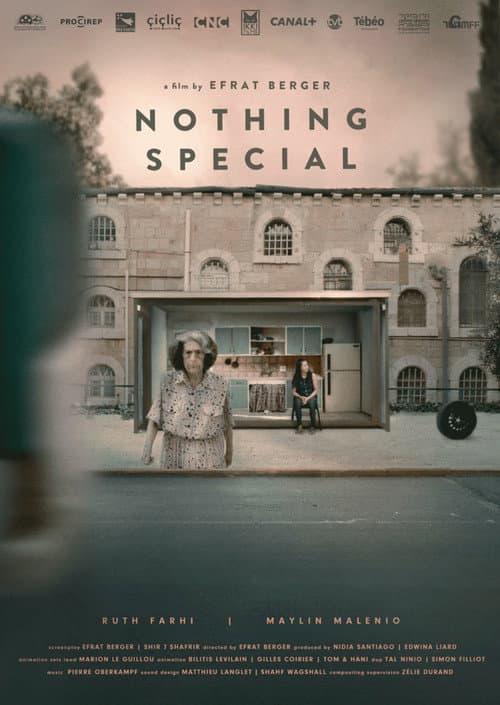 Постер: Nothing Special