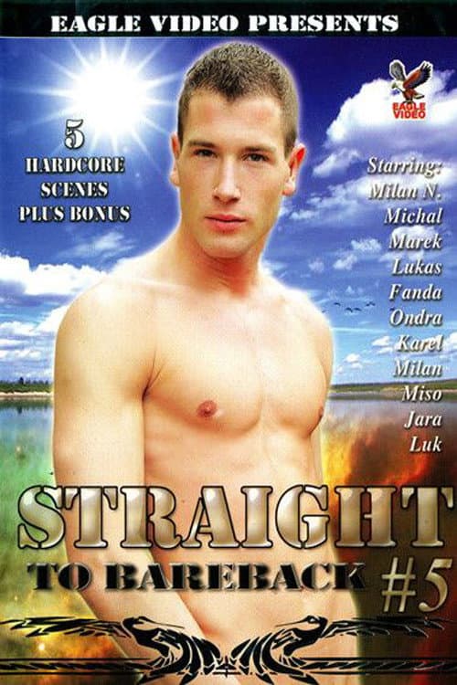 Постер: Straight to Bareback 5
