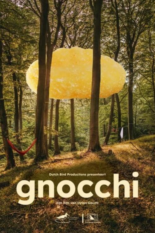 Постер: Gnocchi