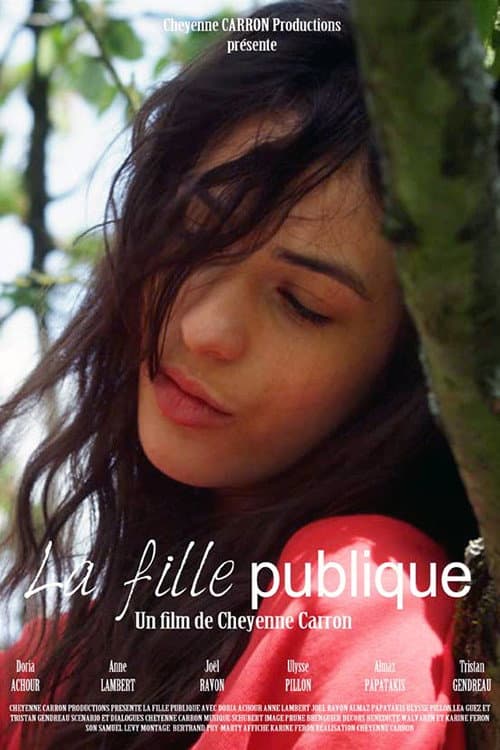 Постер: La fille publique
