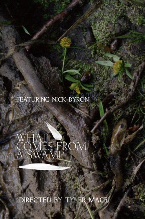 Постер: What Comes from a Swamp