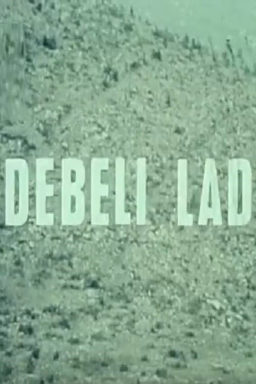 Постер: Debeli lad