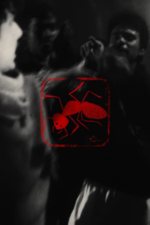 Постер: বিষ পিঁপড়া