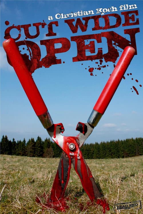 Постер: Cut Wide Open