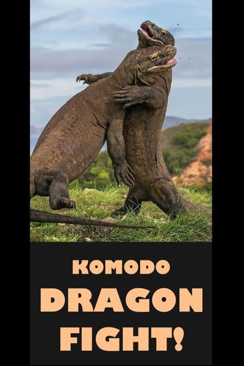 Постер: Komodo Dragon Fight!