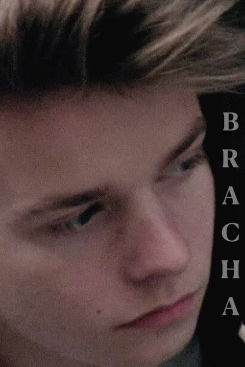Постер: Brácha