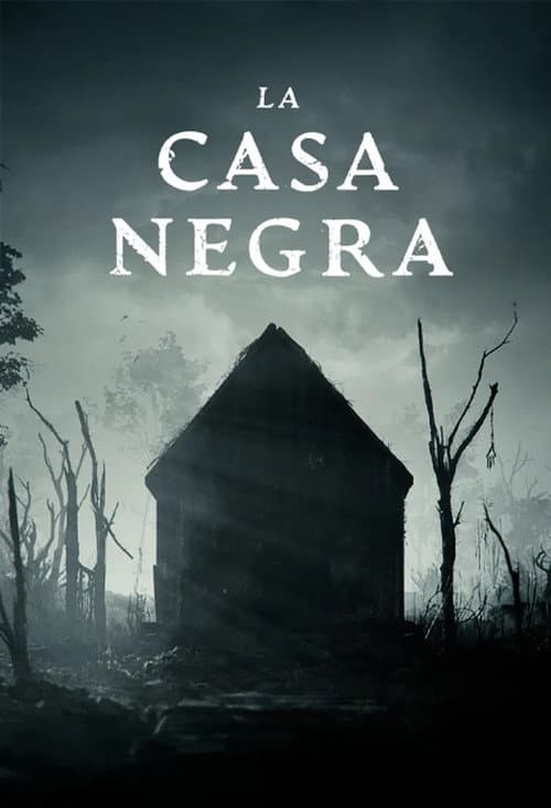 Постер: La casa negra