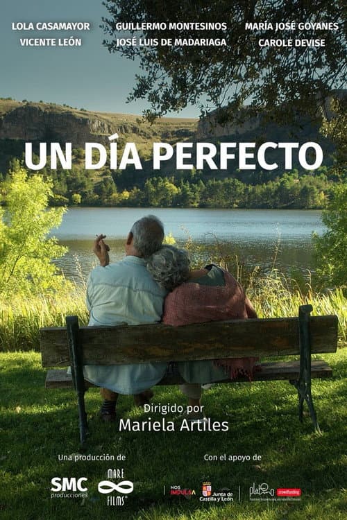 Постер: Un día perfecto