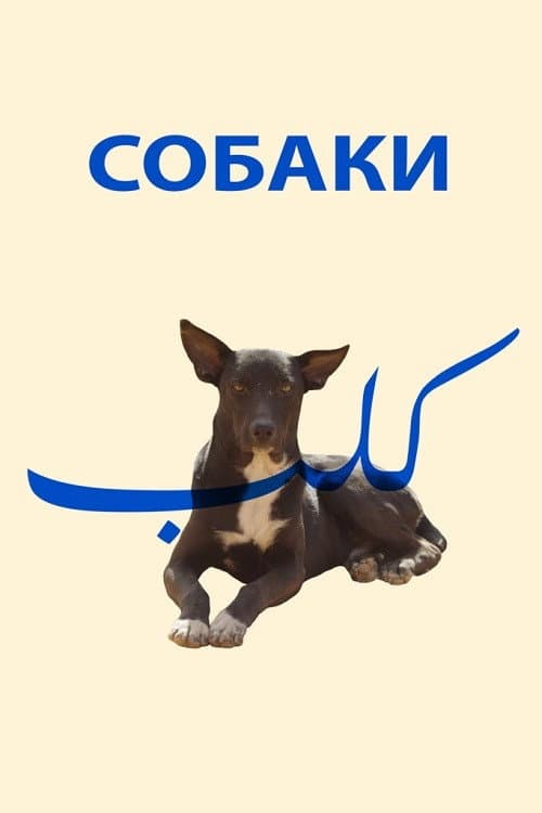 Постер: Собаки