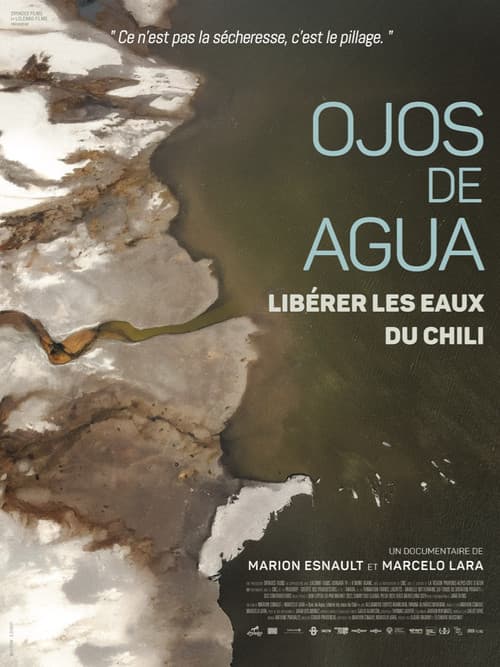 Постер: Ojos de agua