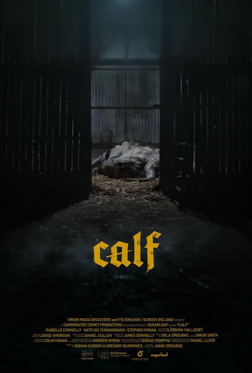 Постер: Calf
