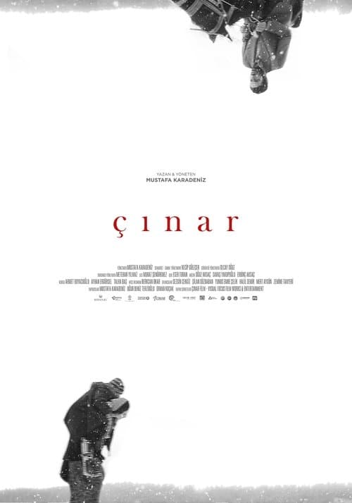 Постер: Çınar