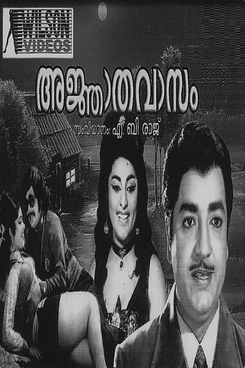 Постер: അജ്ഞാതവാസം