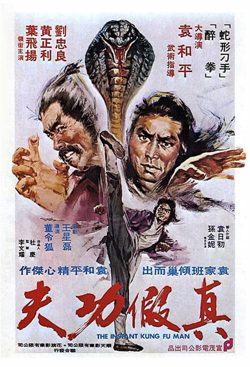 Постер: Zhen jia gong fu