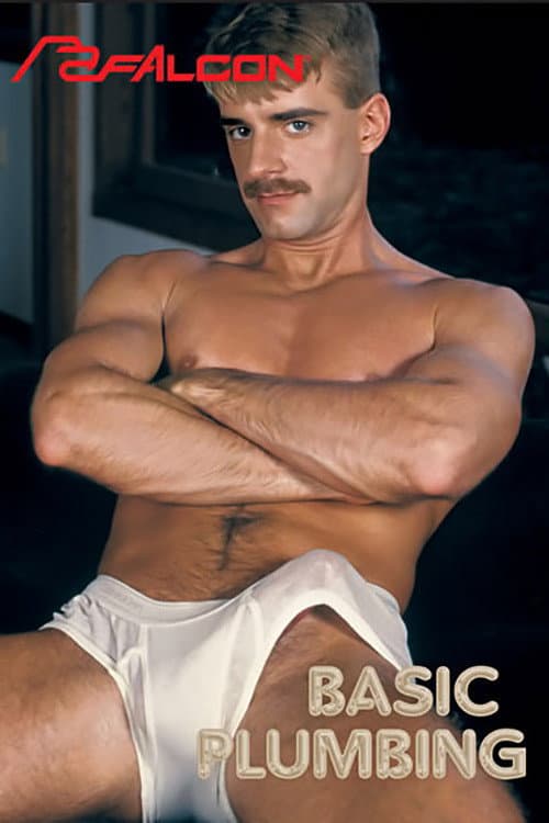 Постер: Basic Plumbing