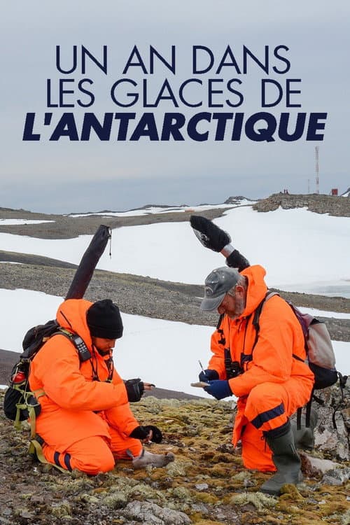 Постер: The Unknown Life of Antarctica