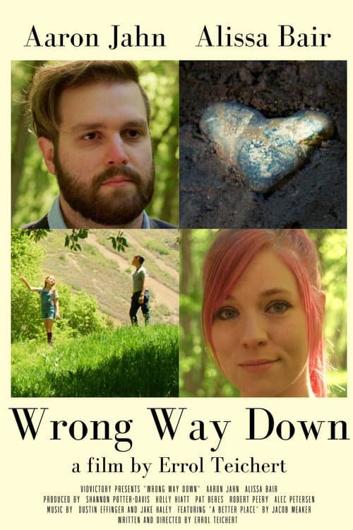 Постер: Wrong Way Down