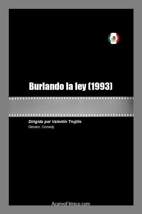 Постер: Burlando la ley