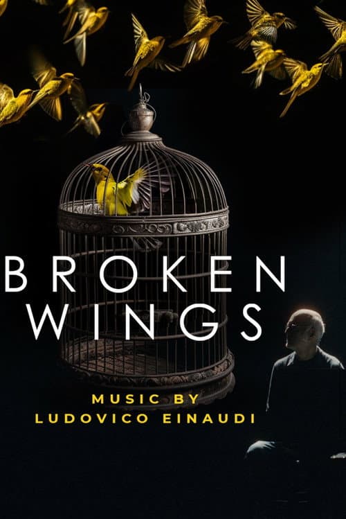Постер: Broken Wings