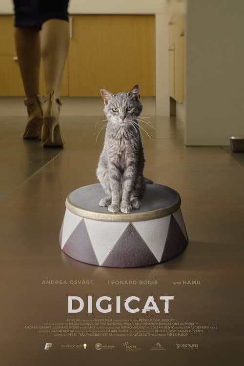 Постер: Digicica