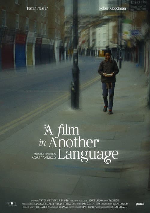 Постер: A Film in Another Language