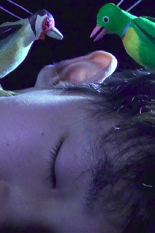 Постер: The Princess and the Magic Birds