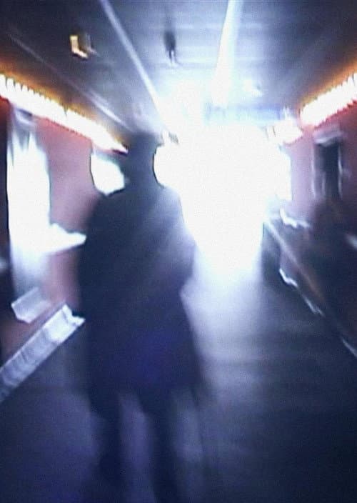 Постер: Stan Brakhage Exits the Cinema and Enters the Light of Day