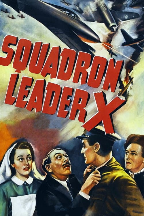 Постер: Squadron Leader X
