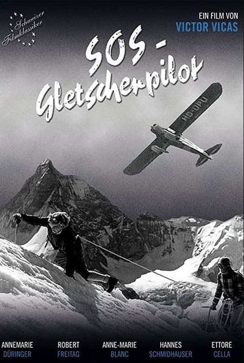 Постер: SOS - Gletscherpilot