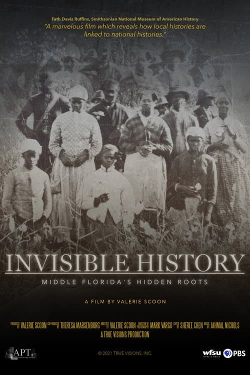 Постер: Invisible History: Middle Florida's Hidden Roots